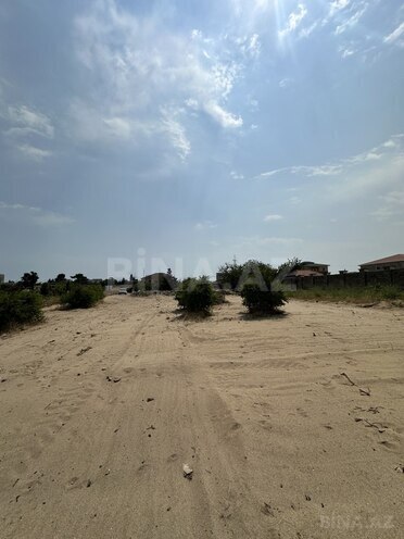 Продаётся  участок 13 сот, пос. Шувеляны, photo 12 from 19