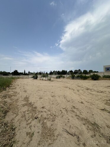 Продаётся  участок 13 сот, пос. Шувеляны, photo 5 from 19