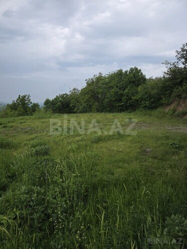 Torpaq - İsmayıllı - 5 sot (3)
