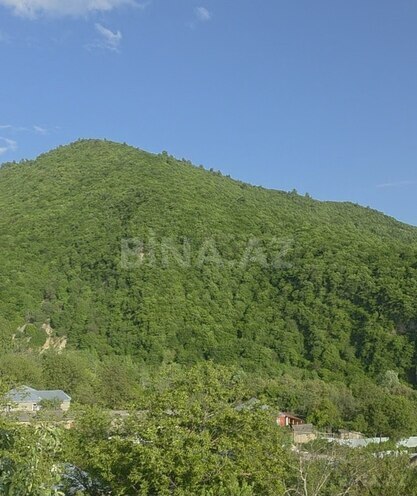 Torpaq - İsmayıllı - 5 sot (8)