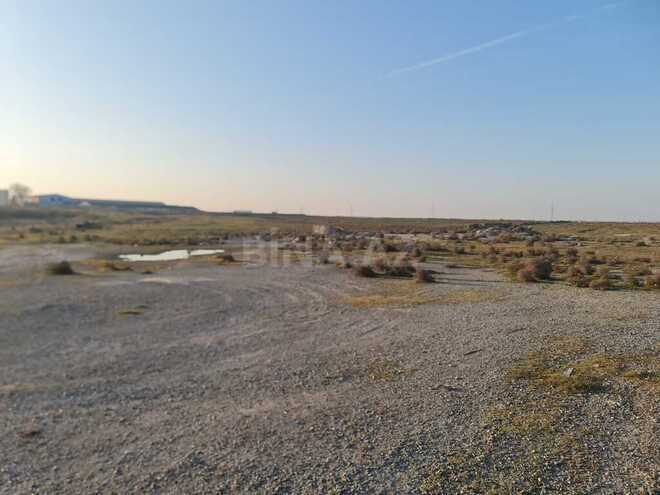 Продаётся  участок 300 сот, пос. Мамедли, photo 8 from 12