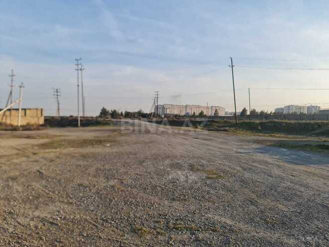 Продаётся  участок 300 сот, пос. Мамедли, photo 9 from 12