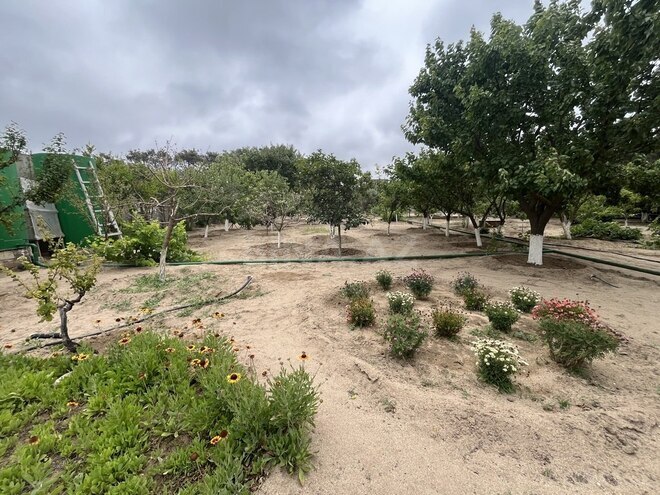 Продаётся  участок 24 сот, пос. Мардакан, photo 8 from 9