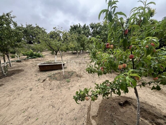 Продаётся  участок 24 сот, пос. Мардакан, photo 6 from 9