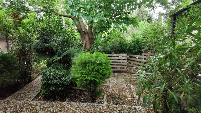 4 otaqlı həyət evi/bağ evi - Şüvəlan q. - 195 m² (25)