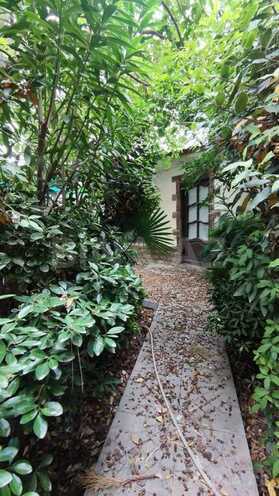 4 otaqlı həyət evi/bağ evi - Şüvəlan q. - 195 m² (23)