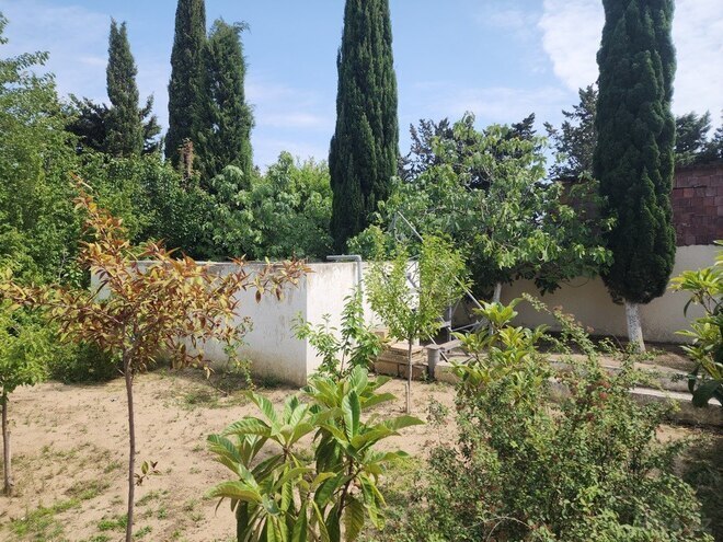 7 otaqlı həyət evi/bağ evi - Görədil q. - 350 m² (30)