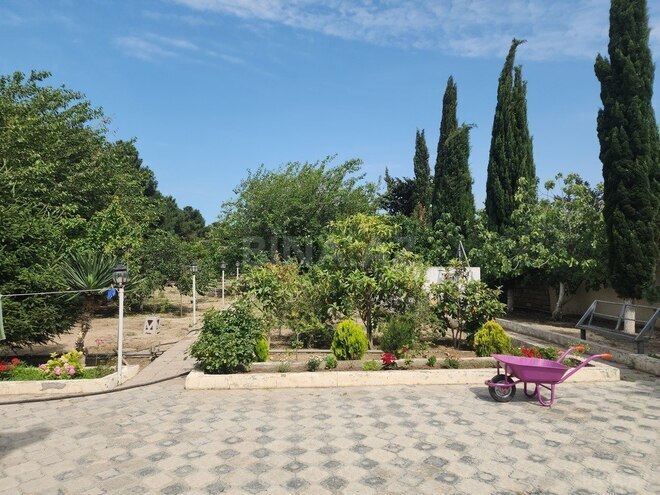 7 otaqlı həyət evi/bağ evi - Görədil q. - 350 m² (28)