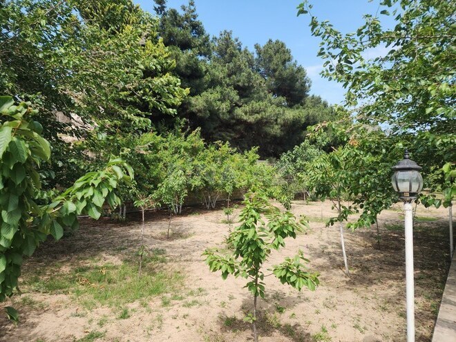 7 otaqlı həyət evi/bağ evi - Görədil q. - 350 m² (3)