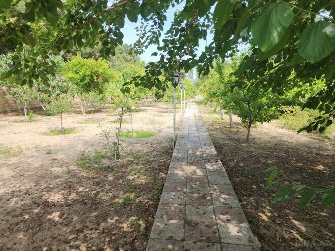 7 otaqlı həyət evi/bağ evi - Görədil q. - 350 m² (4)