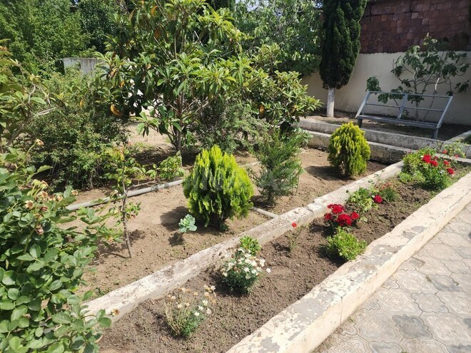 7 otaqlı həyət evi/bağ evi - Görədil q. - 350 m² (2)