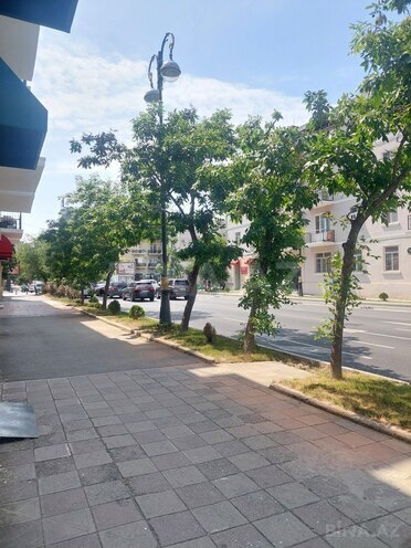 Obyekt - Şah İsmayıl Xətai m. - 50 m² (7)