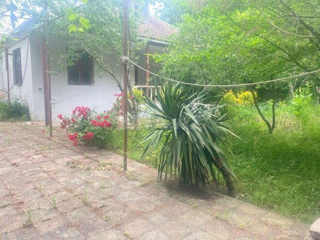 3 otaqlı həyət evi/bağ evi - Xaçmaz - 50 m² (3)