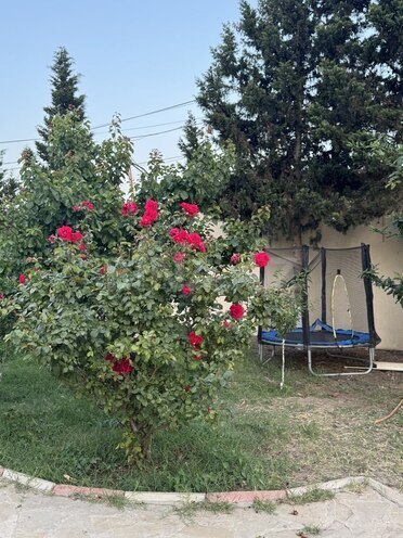 3-комн. дом/дача - пос. Новханы - 300 м² (3)