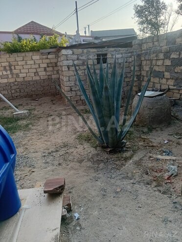 2 otaqlı həyət evi/bağ evi - Pirşağı q. - 60 m² (4)