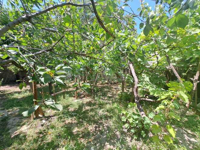 Продаётся 3-комн. дом/дача 200 м², пос. Бадамдар, photo 8 from 32