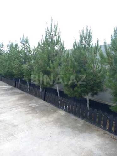 3 otaqlı həyət evi/bağ evi - Novxanı q. - 120 m² (18)