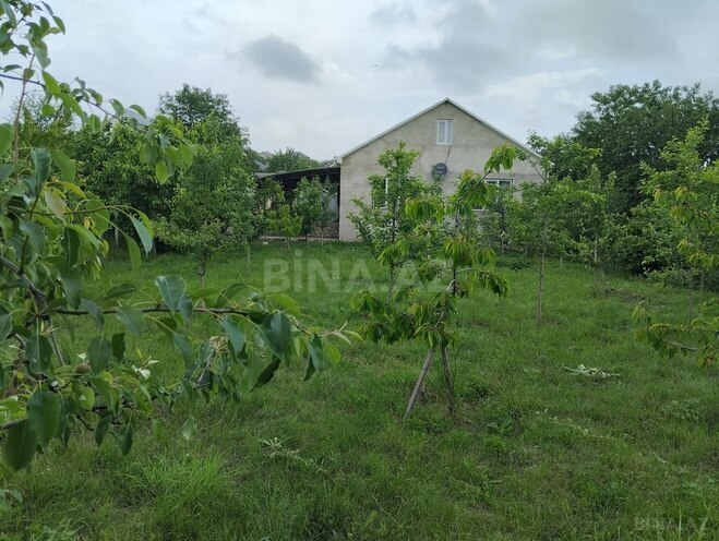 3 otaqlı həyət evi/bağ evi - Qusar - 135 m² (17)