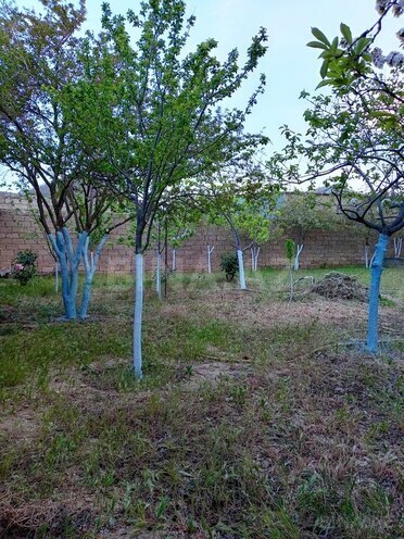 6-комн. дом/дача - пос. Рамана - 240 м² (5)