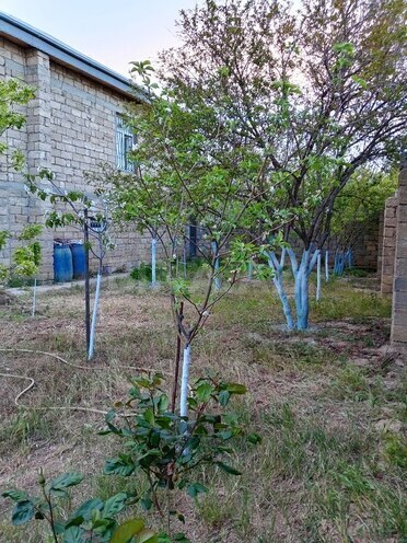 6-комн. дом/дача - пос. Рамана - 240 м² (4)