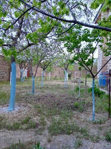 6-комн. дом/дача - пос. Рамана - 240 м² (3)