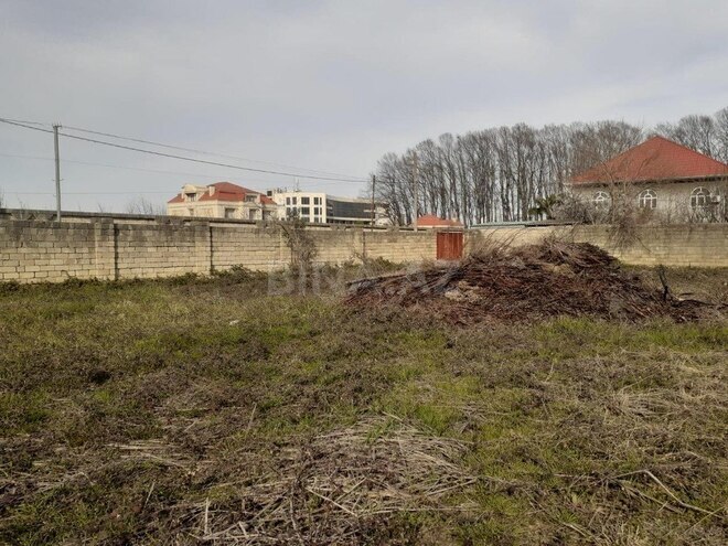 10 otaqlı həyət evi/bağ evi - Lənkəran - 1400 m² (12)