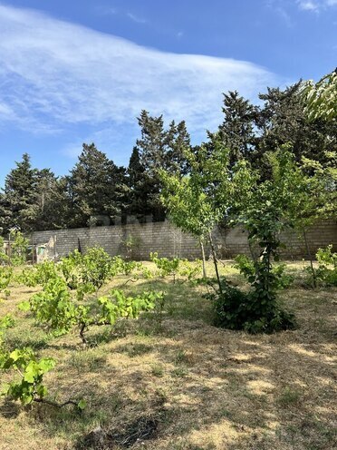 5 otaqlı həyət evi/bağ evi - Pirşağı q. - 400 m² (3)