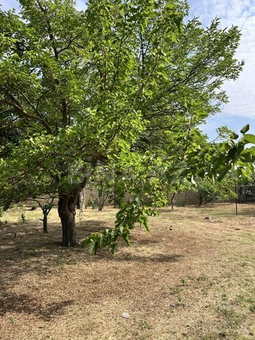 5 otaqlı həyət evi/bağ evi - Pirşağı q. - 400 m² (4)
