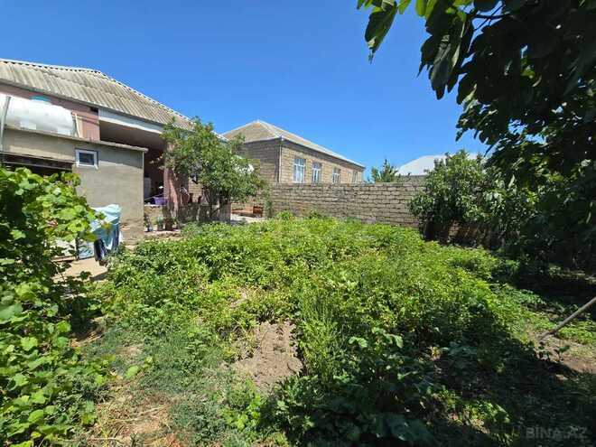 4 otaqlı həyət evi/bağ evi - Binə q. - 110 m² (2)