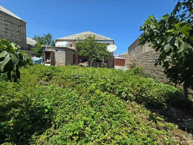4 otaqlı həyət evi/bağ evi - Binə q. - 110 m² (1)