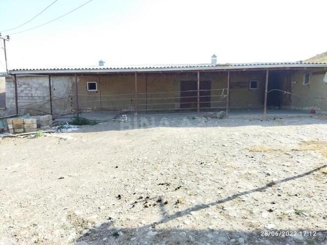 Объект - Сиазань - 1000 м² (3)