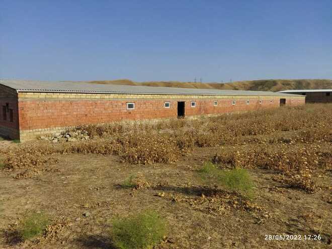 Объект - Сиазань - 1000 м² (17)