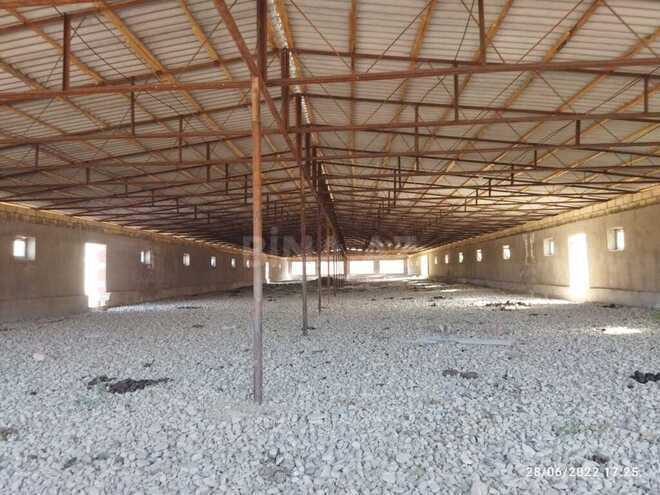 Объект - Сиазань - 1000 м² (16)