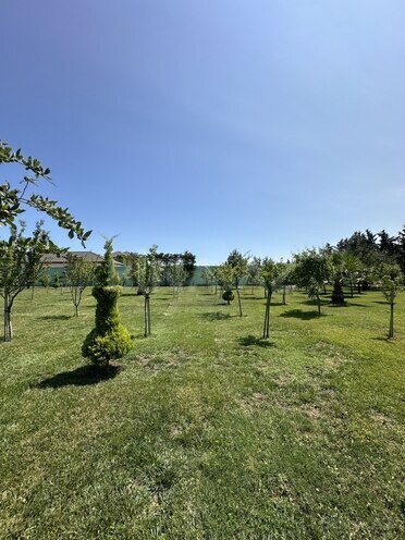 Продаётся  участок 6 сот, пос. Шувеляны, photo 6 from 14