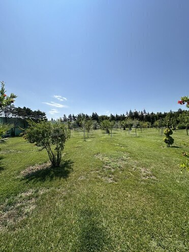 Продаётся  участок 6 сот, пос. Шувеляны, photo 4 from 14