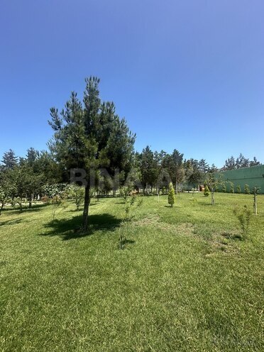 Продаётся  участок 6 сот, пос. Шувеляны, photo 13 from 14