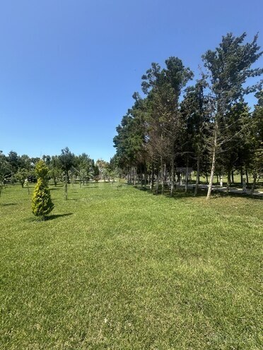 Продаётся  участок 6 сот, пос. Шувеляны, photo 11 from 14