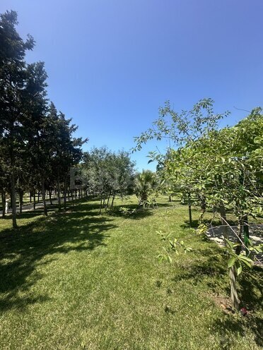 Продаётся  участок 6 сот, пос. Шувеляны, photo 10 from 14