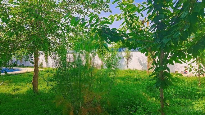3-комн. дом/дача - Габала - 120 м² (2)