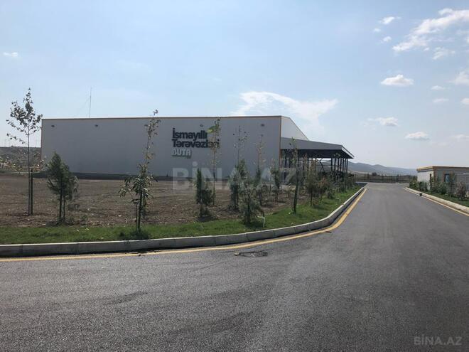 Объект - Исмаиллы - 2000 м² (1)