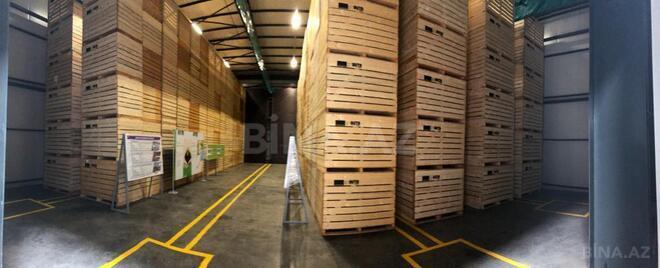 Объект - Исмаиллы - 2000 м² (13)