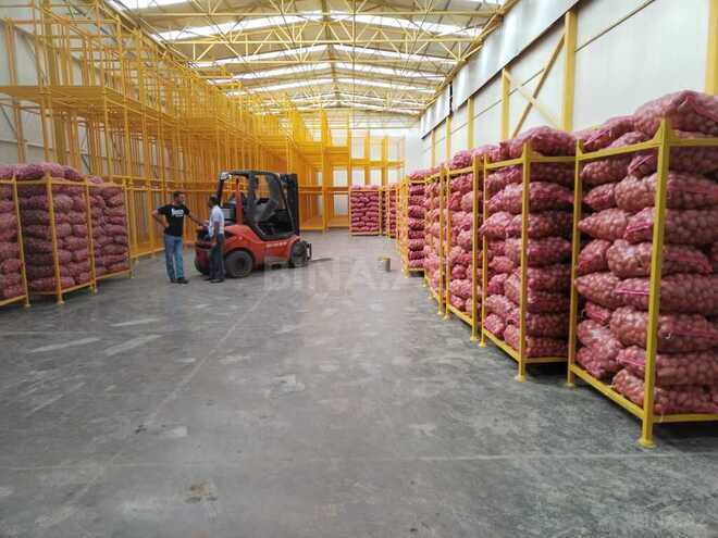 Obyekt - Tovuz - 3000 m² (6)