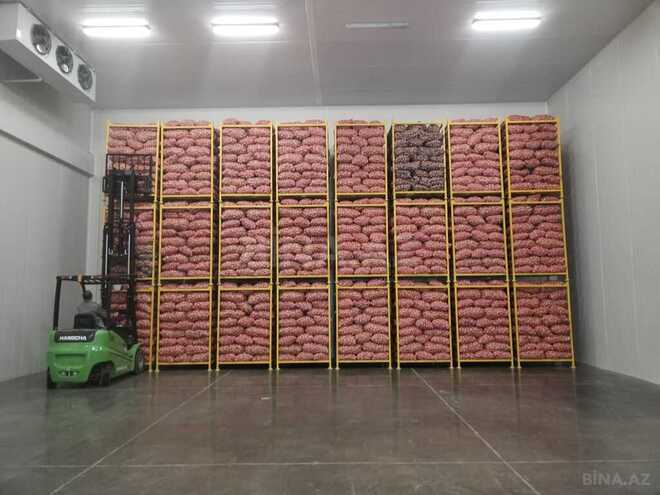 Obyekt - Tovuz - 3000 m² (7)