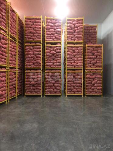 Obyekt - Tovuz - 3000 m² (9)