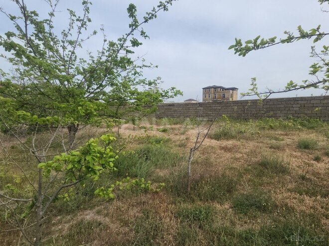 3 otaqlı həyət evi/bağ evi - Görədil q. - 100 m² (7)
