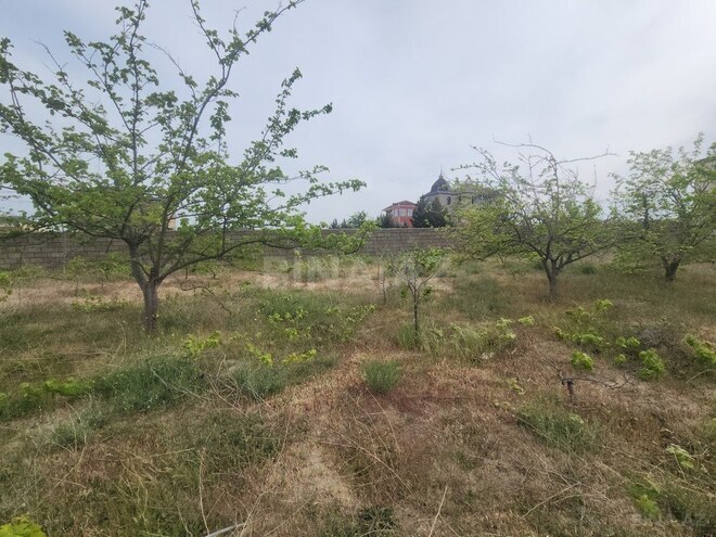 3 otaqlı həyət evi/bağ evi - Görədil q. - 100 m² (4)