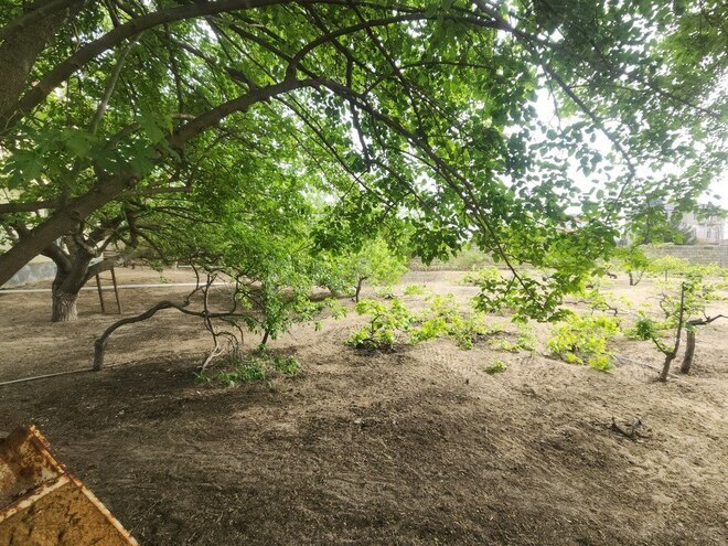 3 otaqlı həyət evi/bağ evi - Görədil q. - 100 m² (3)