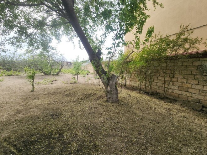 3 otaqlı həyət evi/bağ evi - Görədil q. - 100 m² (6)