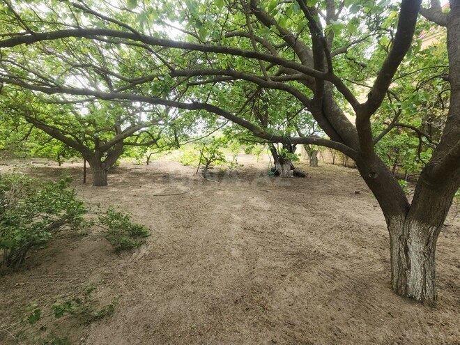 4 otaqlı həyət evi/bağ evi - Görədil q. - 150 m² (2)