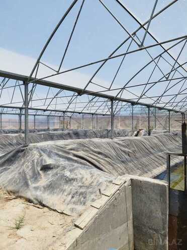 Obyekt - Türkan q. - 10000 m² (3)